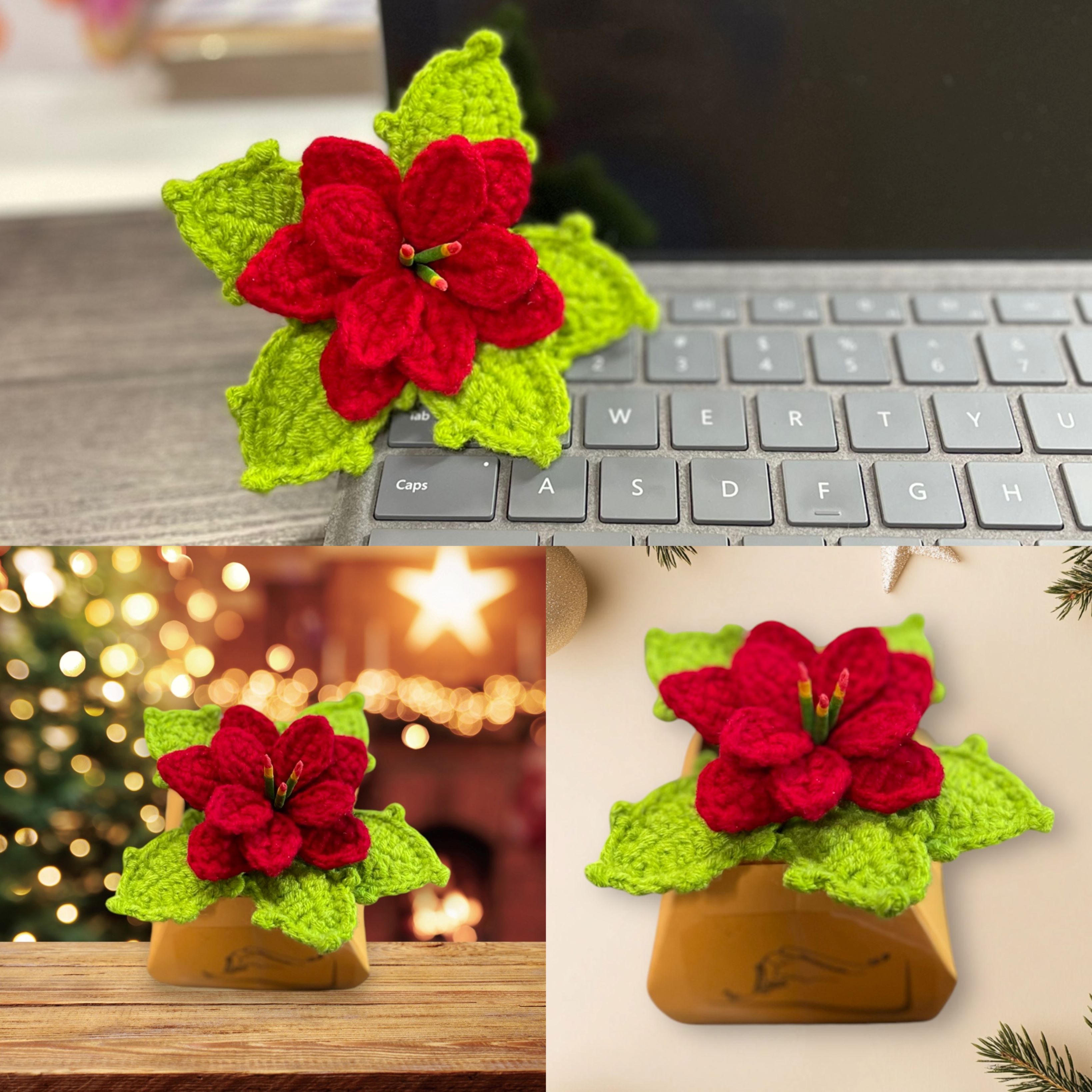 https://yoursecretnatures.com/storage/files/products/../products/Xmas Flower - S.JPG